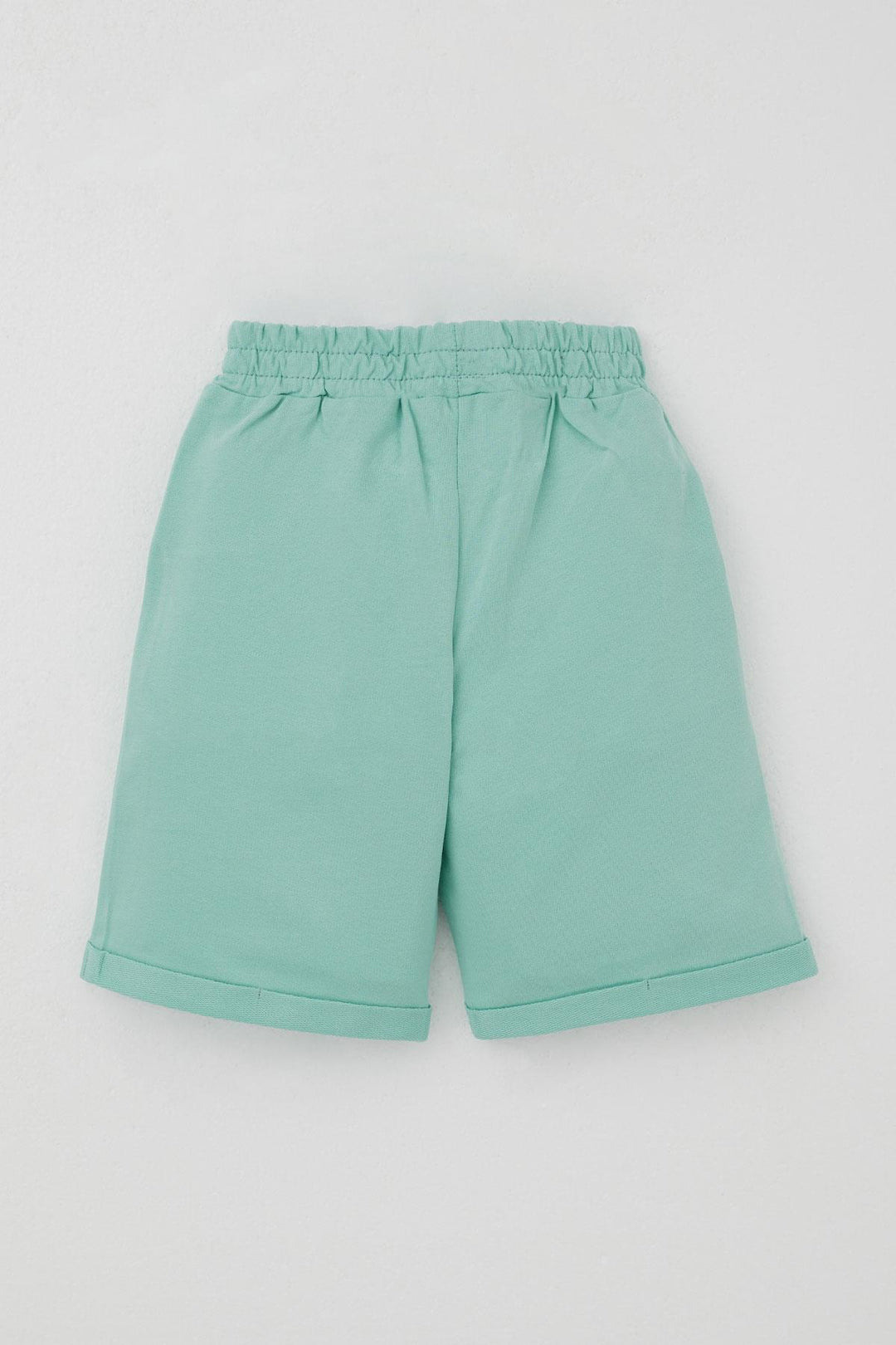 BRE Breeze Erkek Çocuk Şortlu Takım Yaz Temalı Sörfçü Köpekçik Baskılı 2-6 Yaş, Açık Gri Melanj - Tepatitlán de Morelos