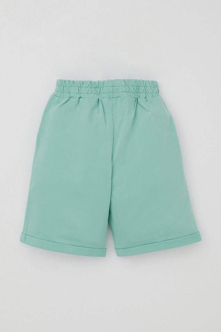 BRE Breeze Erkek Çocuk Şortlu Takım Yaz Temalı Sörfçü Köpekçik Baskılı 2-6 Yaş, Açık Gri Melanj - Tepatitlán de Morelos