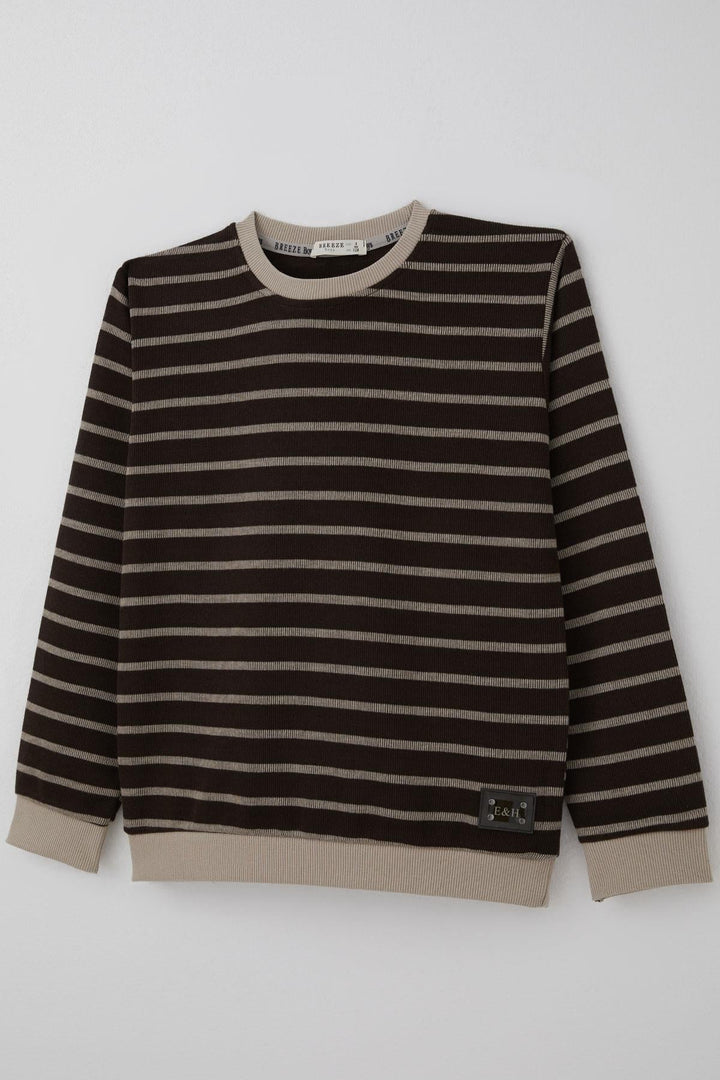 BRE Breeze Erkek Çocuk Sweatshirt Arma Detaylı Çzgili 4-8 Yaş, Koyu Kahve - White Plains