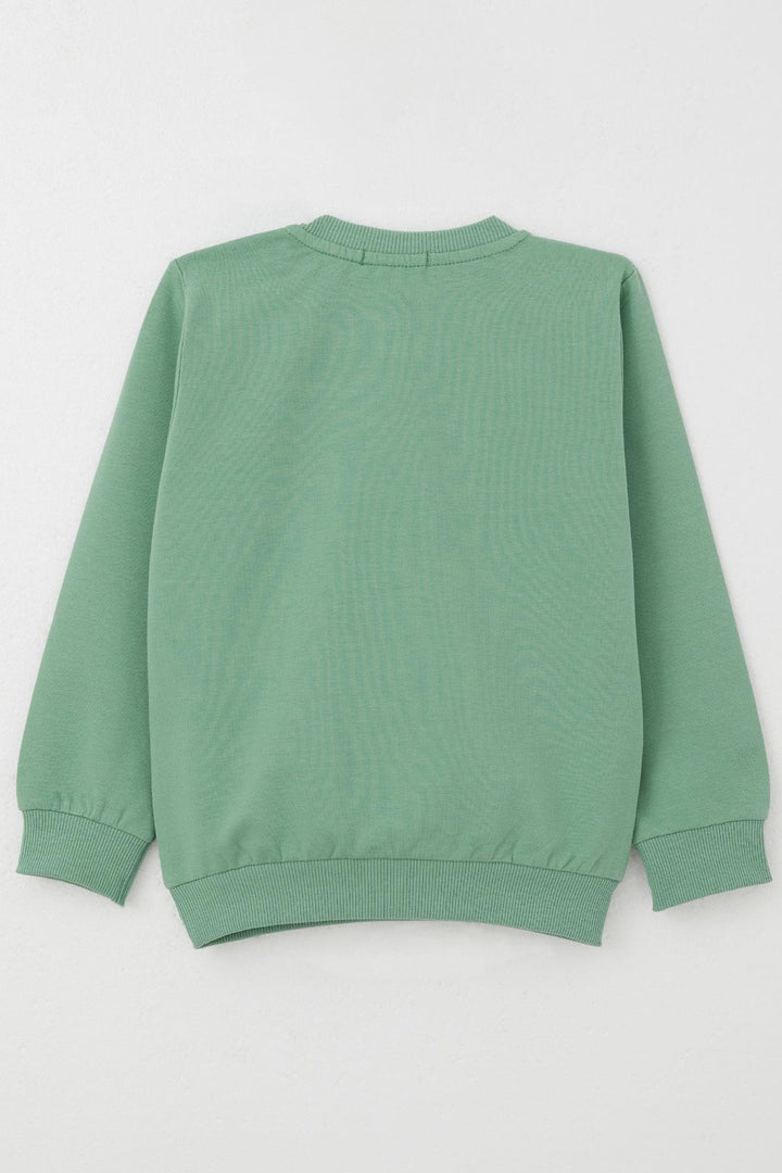 BRE Breeze Boys' Sweatshirt Lightning of the Farm 1.5-5 Years, Mint Green - Arnold