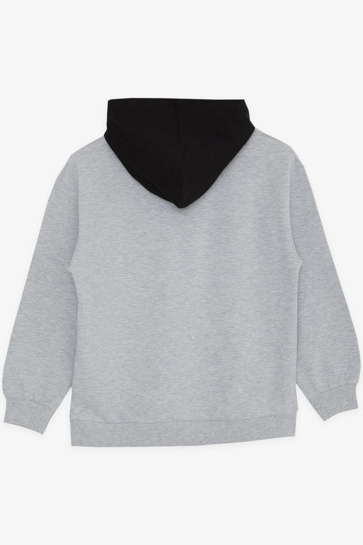 BRE Breeze Girls & Boys Boys Sweatshirt Hooded Printed 84 Years, Grey Melange - Mount Prospect