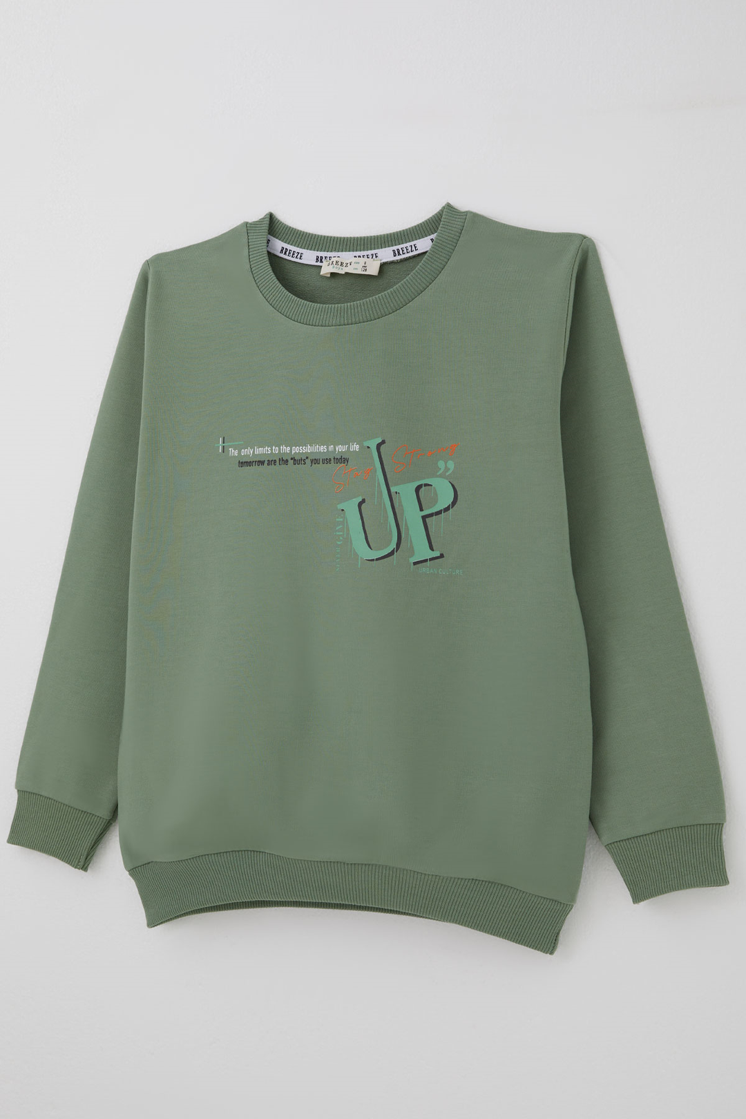 BRE Breeze Erkek Çocuk Sweatshirt Sırt Yazı Baskı Detaylı 5-9 Yaş , Mint Yeşili - Rosenberg