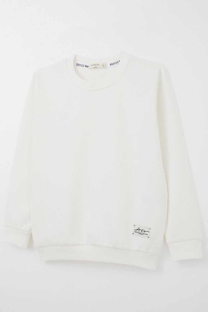 BRE Breeze Boys' Sweatshirt with Logo Print, 84 Years, Beige - Lewiston