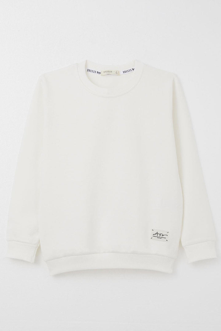 BRE Breeze Boys' Sweatshirt with Logo Print, 84 Years, Beige - Lewiston
