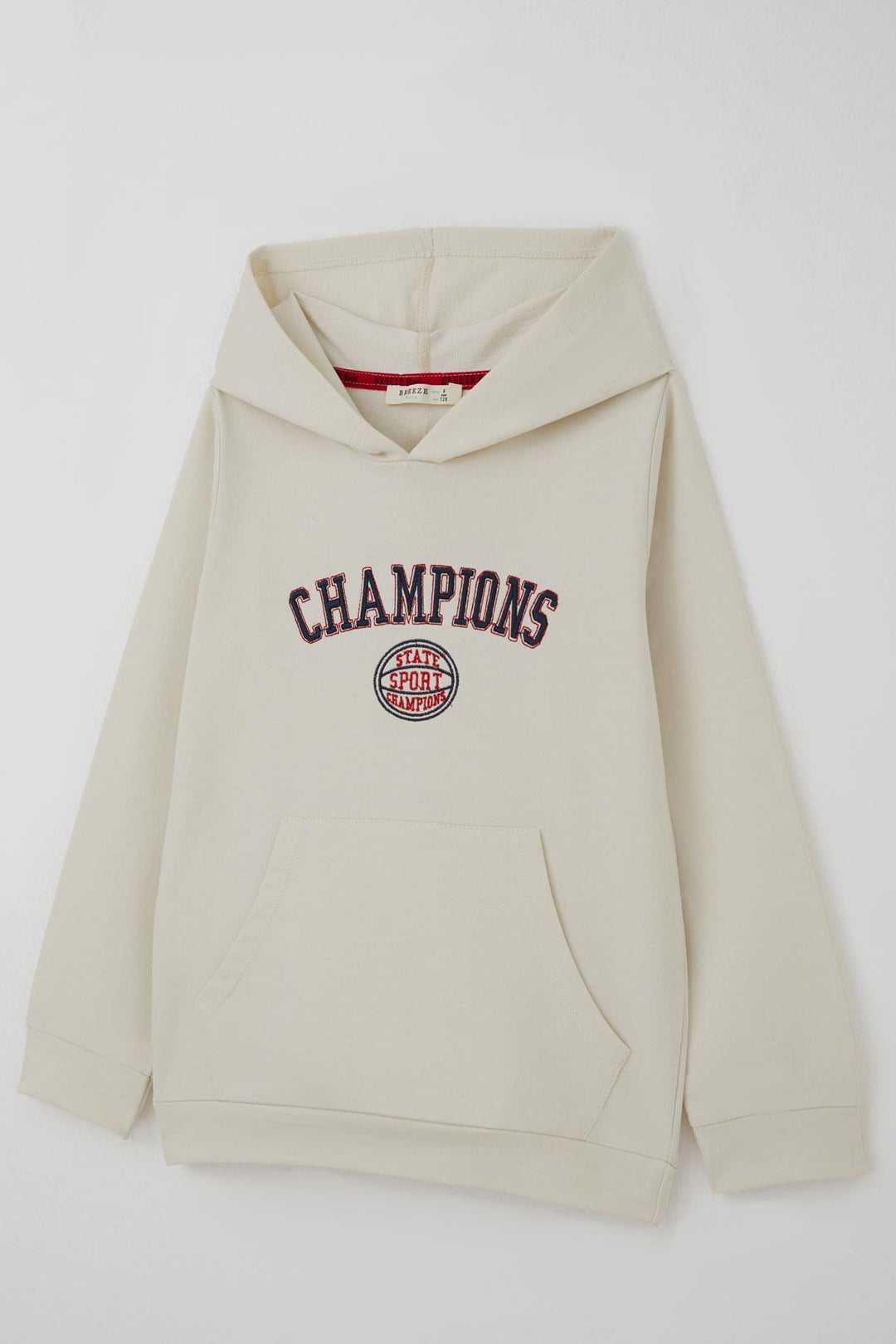 BRE Breeze Erkek Çocuk Sweatshirt Yazı Baskılı Kapüşonlu 4-8 Yaş, Taş - Blois