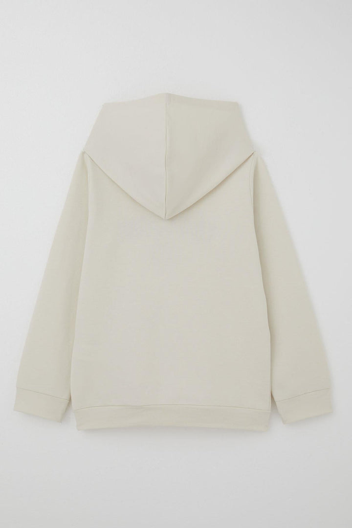 BRE Breeze Erkek Çocuk Sweatshirt Yazı Baskılı Kapüşonlu 4-8 Yaş, Taş - Uruapan