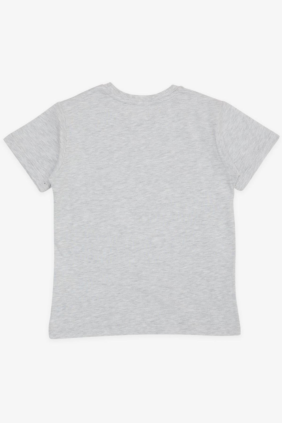 BRE Breeze Boy's T-Shirt Crazy Skateboarding Puppy Printed 50 Years, Light Grey Melange - Villaflores