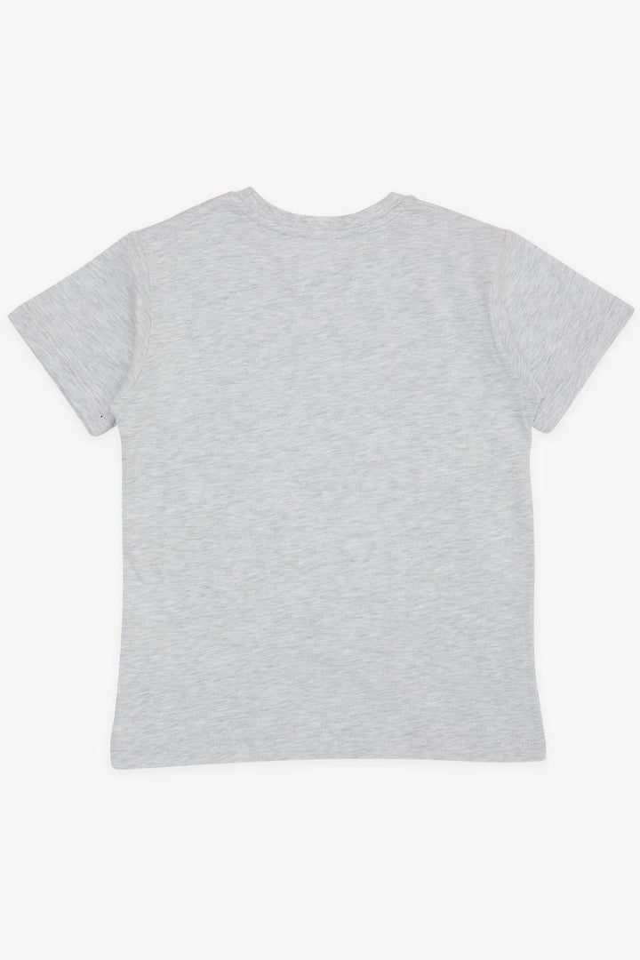 BRE Breeze Boy's T-Shirt Crazy Skateboarding Puppy Printed 50 Years, Light Grey Melange - Villaflores