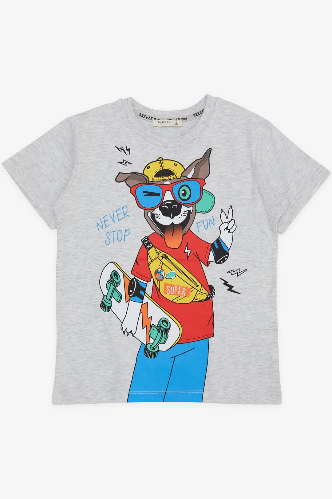BRE Breeze Boy's T-Shirt Crazy Skateboarding Puppy Printed 50 Years, Light Grey Melange - Villaflores
