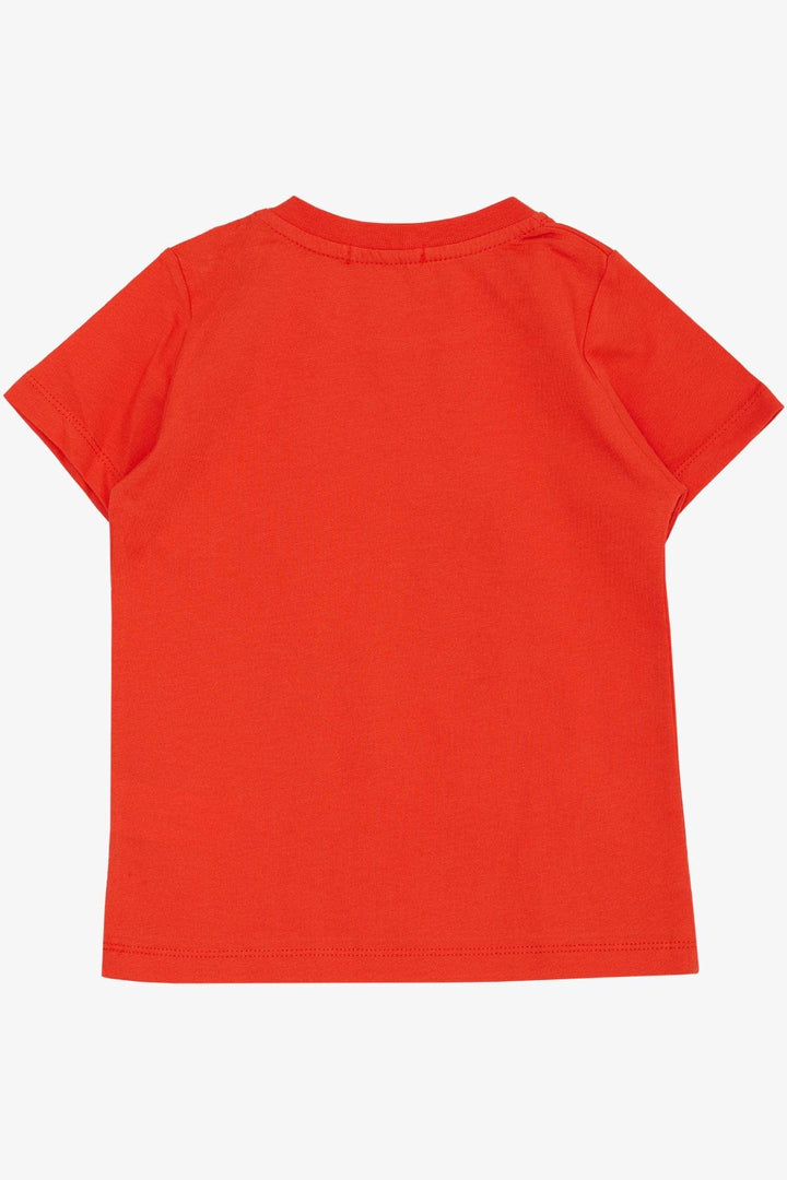 BRE Breeze Boys' T-Shirt Strong Dinosaur Printed 1.5-5 Years, Pink - Bad Homburg