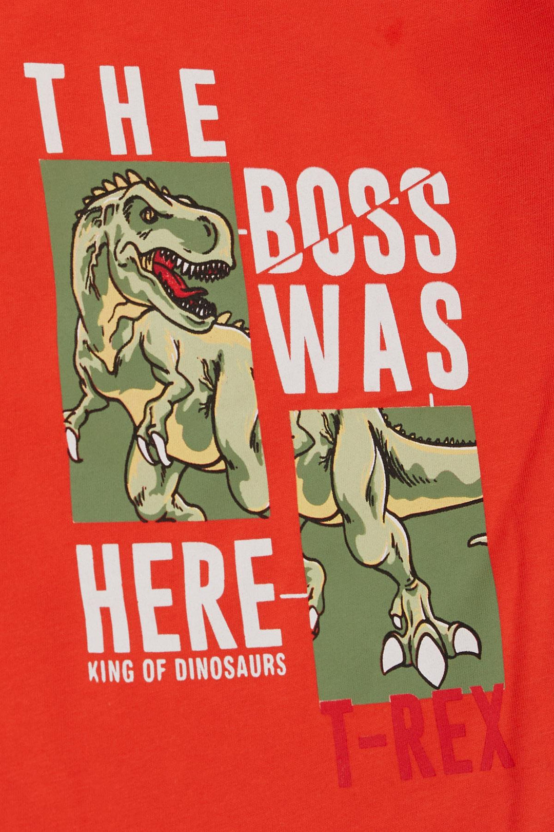 BRE Breeze Boys' T-Shirt Strong Dinosaur Printed 1.5-5 Years, Pink - Bad Homburg