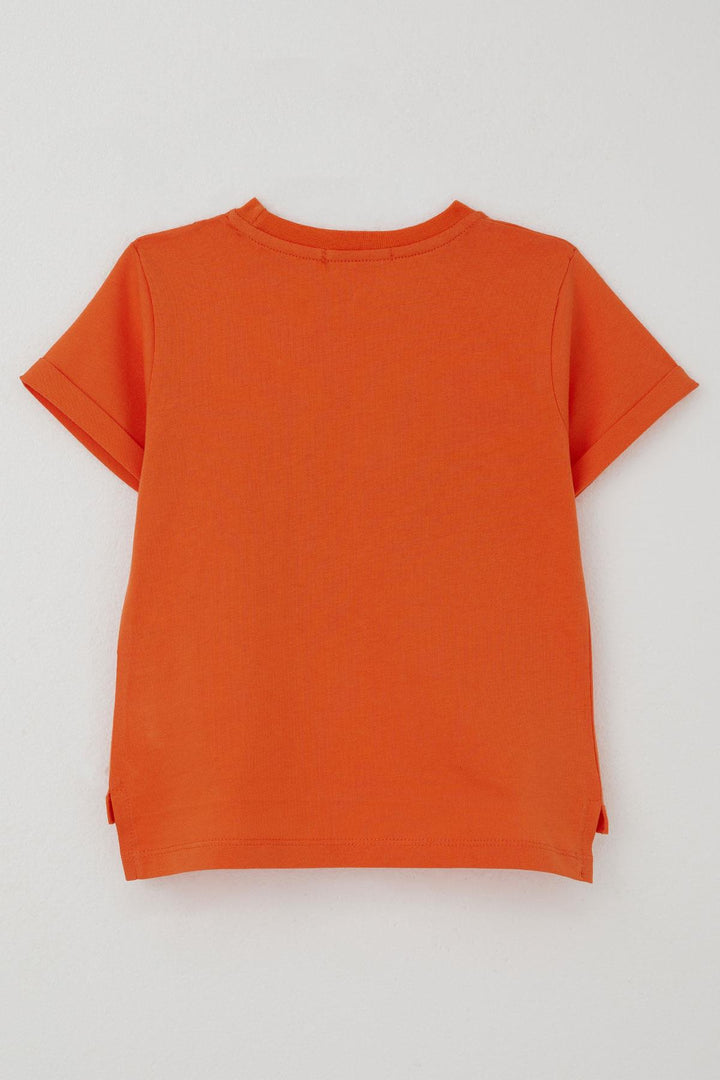 BRE Breeze Boys' T-shirt League Star Dinosaur Printed 2-6 Years, Orange - A Coruña