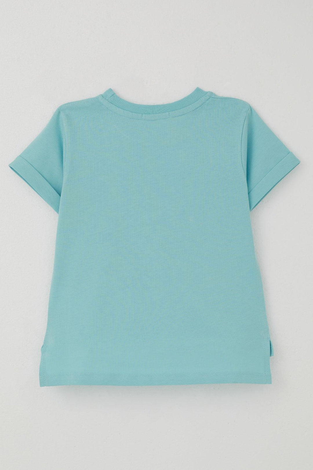 BRE Breeze Boys' T-shirt League Star Dinosaur Printed 2-6 Years, Light Blue - Leesburg