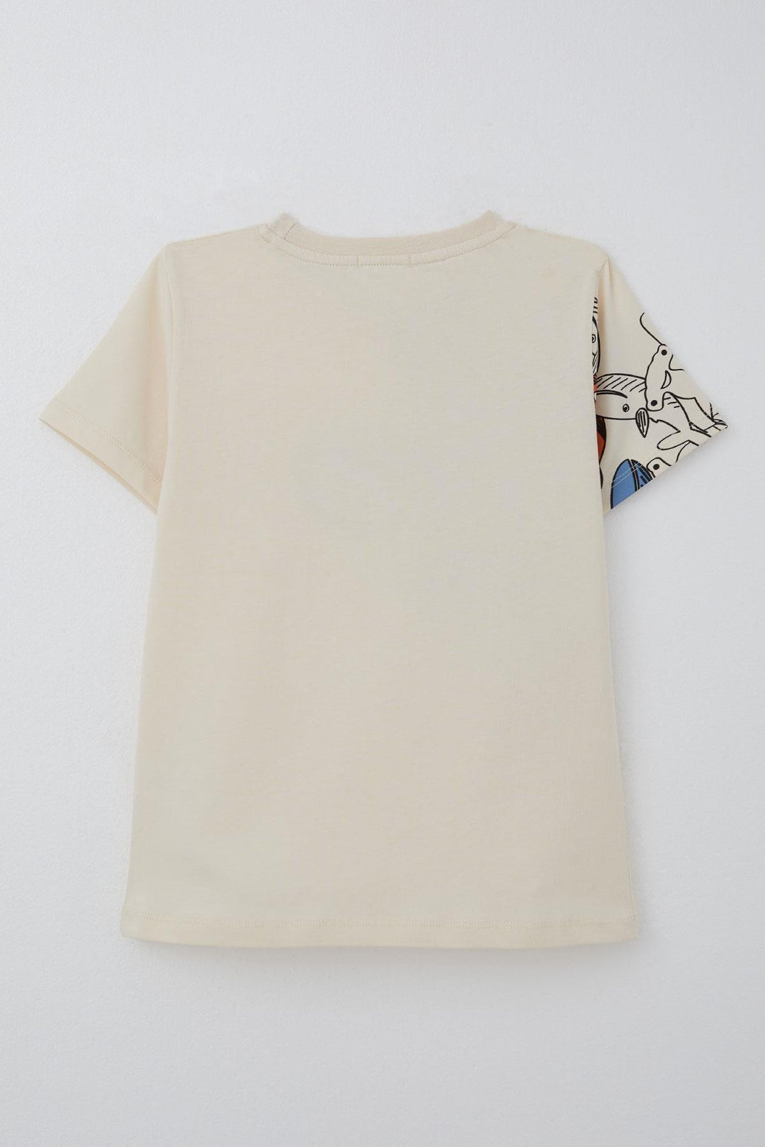 BRE Breeze Boys' T-shirt Blue Heroes of the World Whales 5-9 Years, Cream - Landgraaf