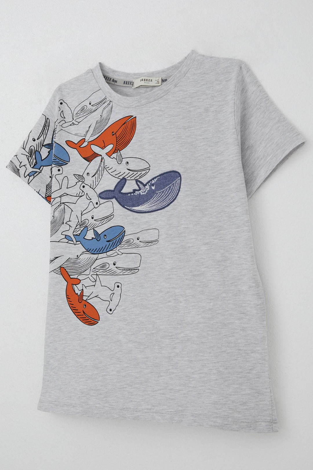 BRE Breeze Boys' T-Shirt Blue Heroes of the World Whales 5-9 Years, Light Grey Melange - Juchitán de Zaragoza