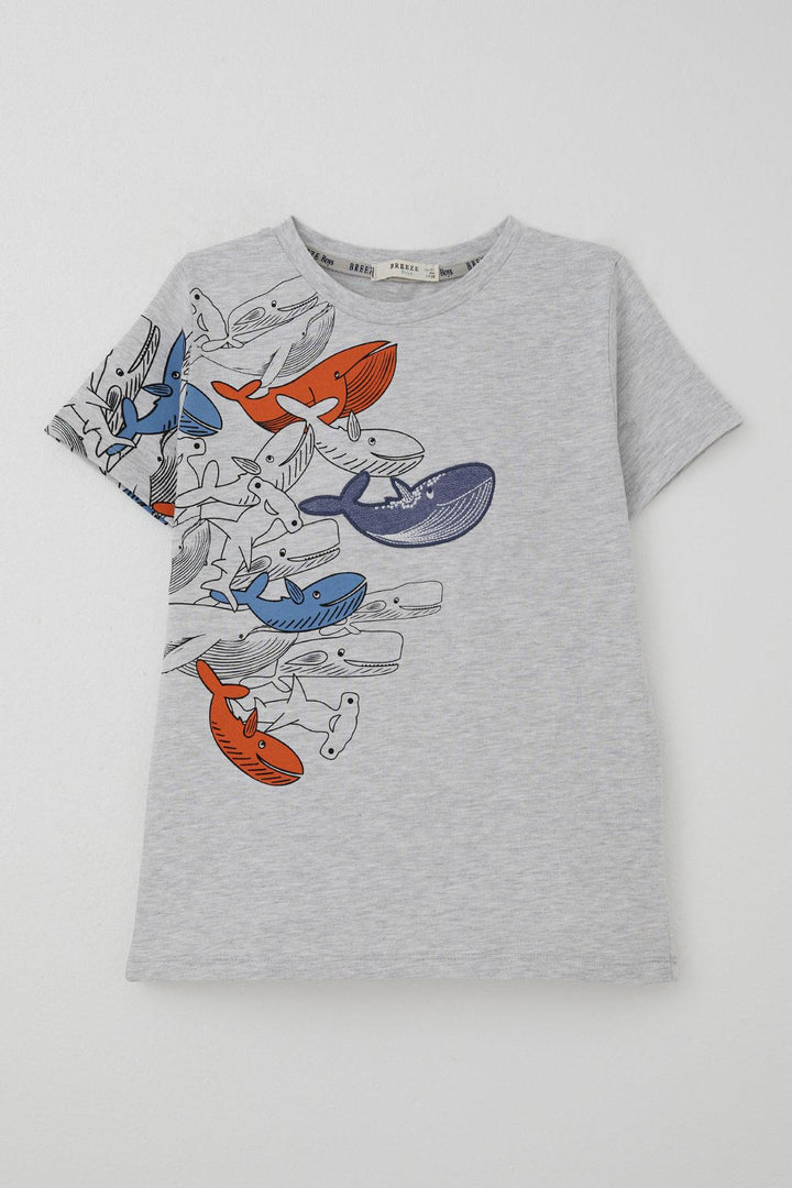 BRE Breeze Boys' T-Shirt Blue Heroes of the World Whales 5-9 Years, Light Grey Melange - Juchitán de Zaragoza