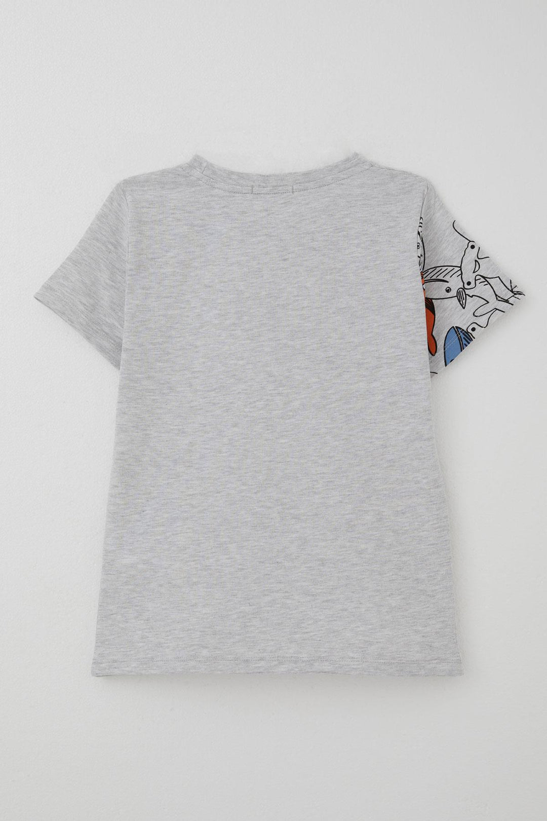BRE Breeze Boys' T-Shirt Blue Heroes of the World Whales 5-9 Years, Light Grey Melange - Juchitán de Zaragoza
