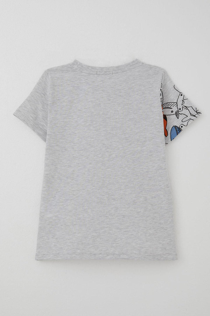 BRE Breeze Boys' T-Shirt Blue Heroes of the World Whales 5-9 Years, Light Grey Melange - Juchitán de Zaragoza