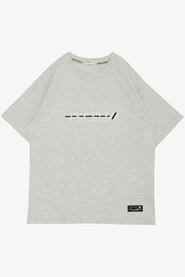 BRE Breeze Boys' T-Shirt Printed with Text and Emblem 94 Years, Light Grey Melange - Cuautitlán