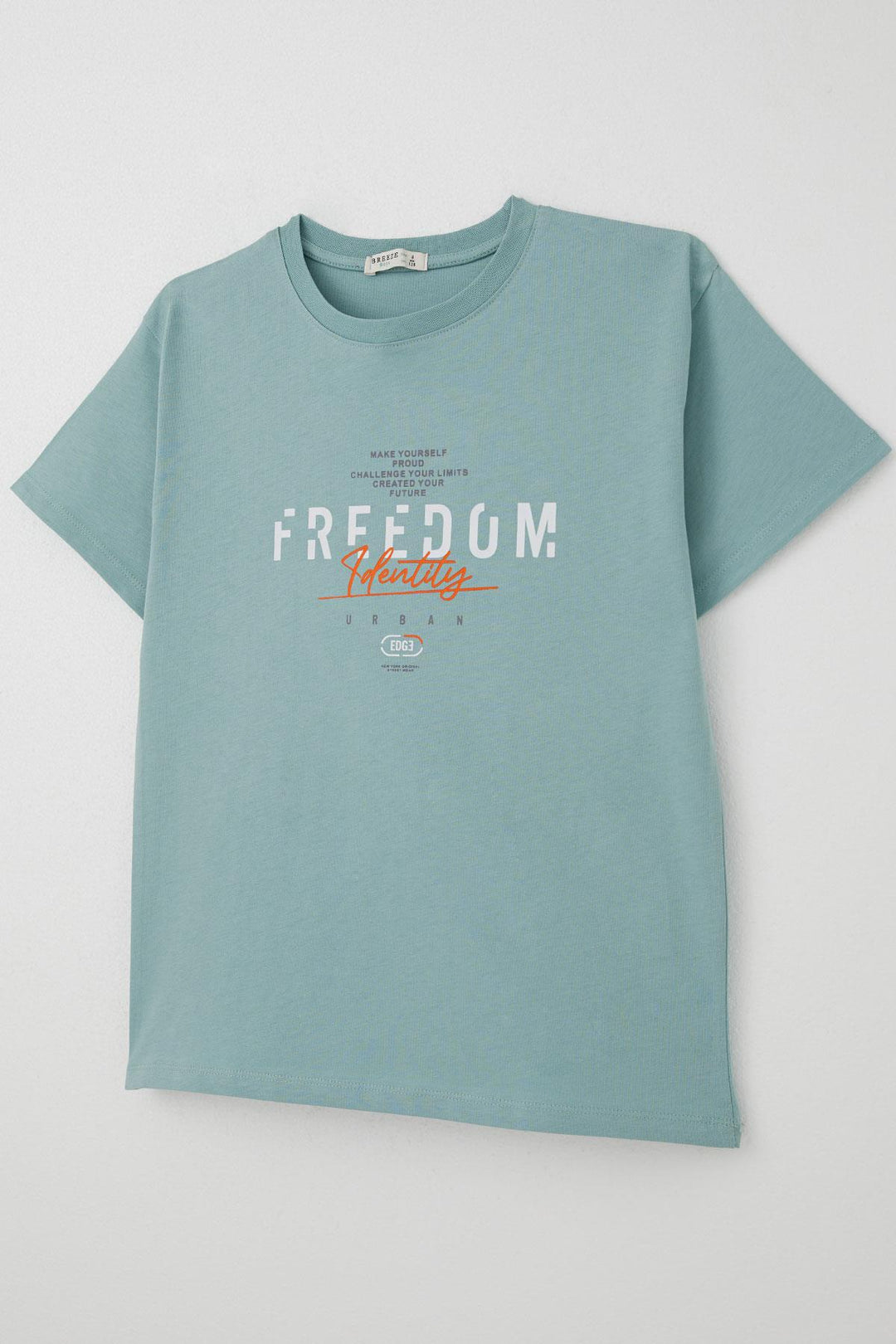 BRE Breeze Boy's T-shirt with Print 50 Years, Aqua Green - Tiel
