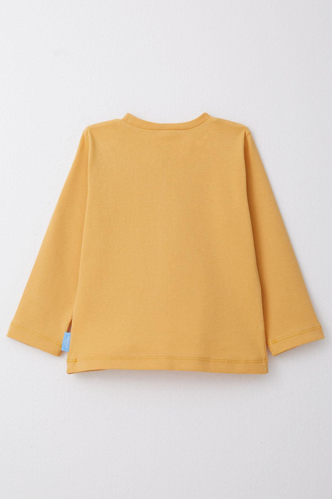 BRE Breeze Boys' Long Sleeve T-Shirt Basic 1-4 Years, Mustard Yellow - Jackson