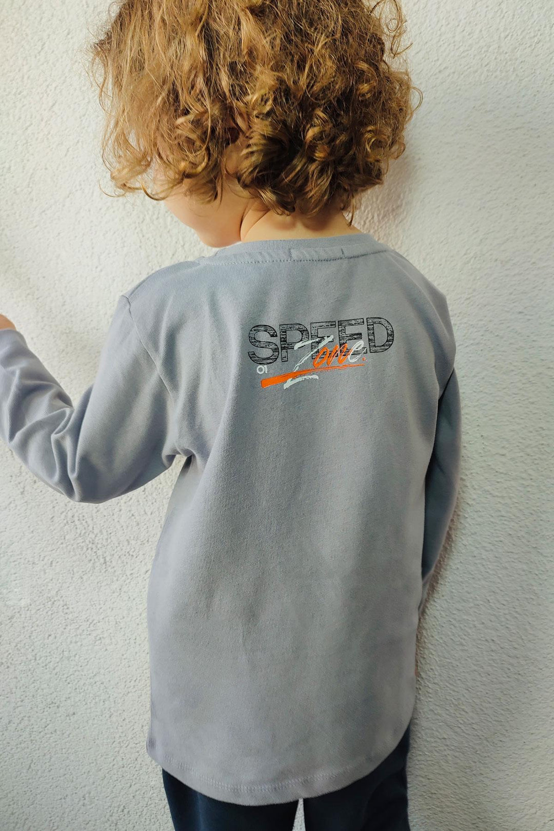 BRE Breeze Boys' Long Sleeve T-Shirt Speed Themed Back Printed 2-6 Years, Grey - Utrecht