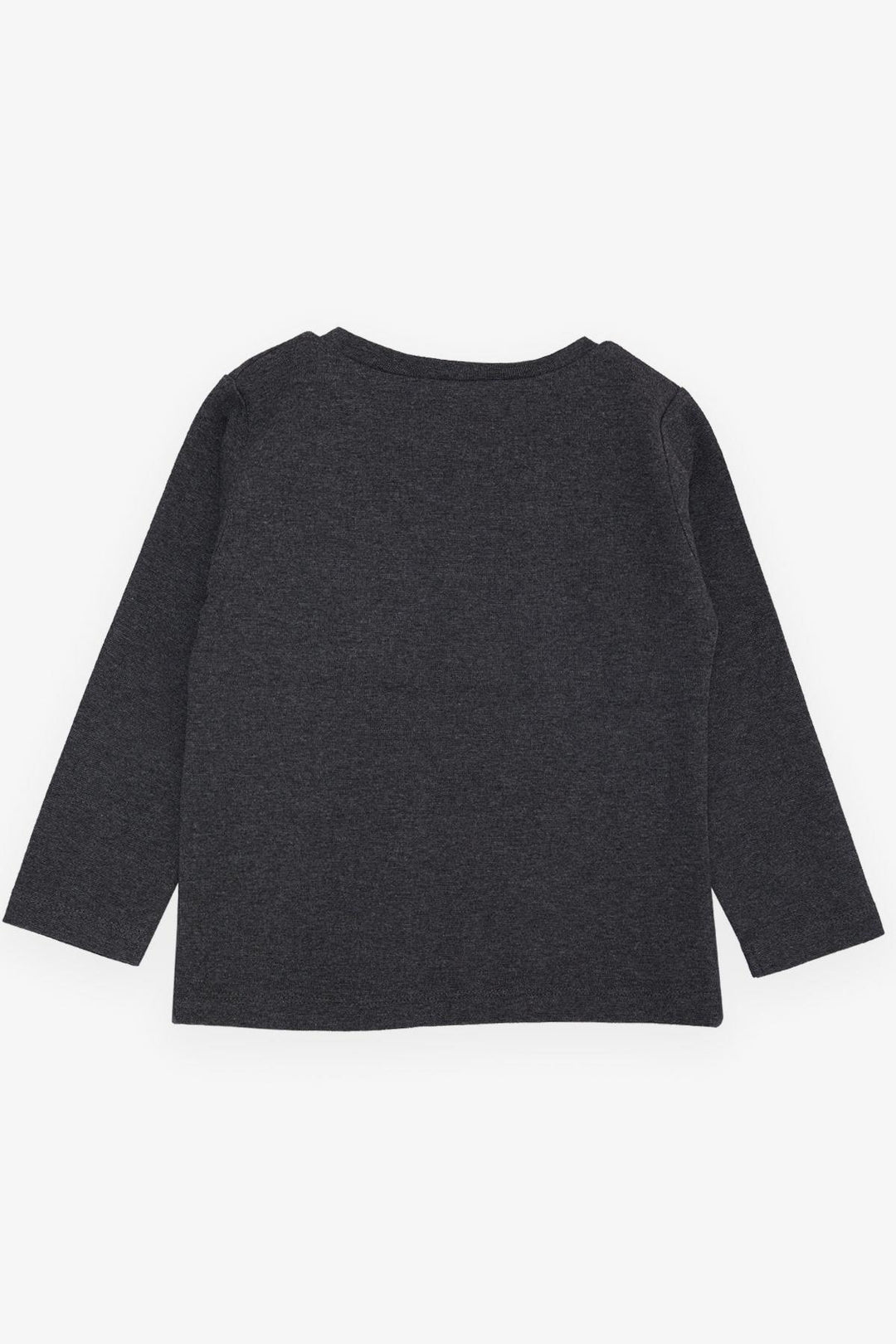 BRE Breeze Girls & Boys Boys Long Sleeve T-Shirt with Cool Lion Printed Hat, 1-4 Years, Dark Grey Melange - San Adrián de Besós