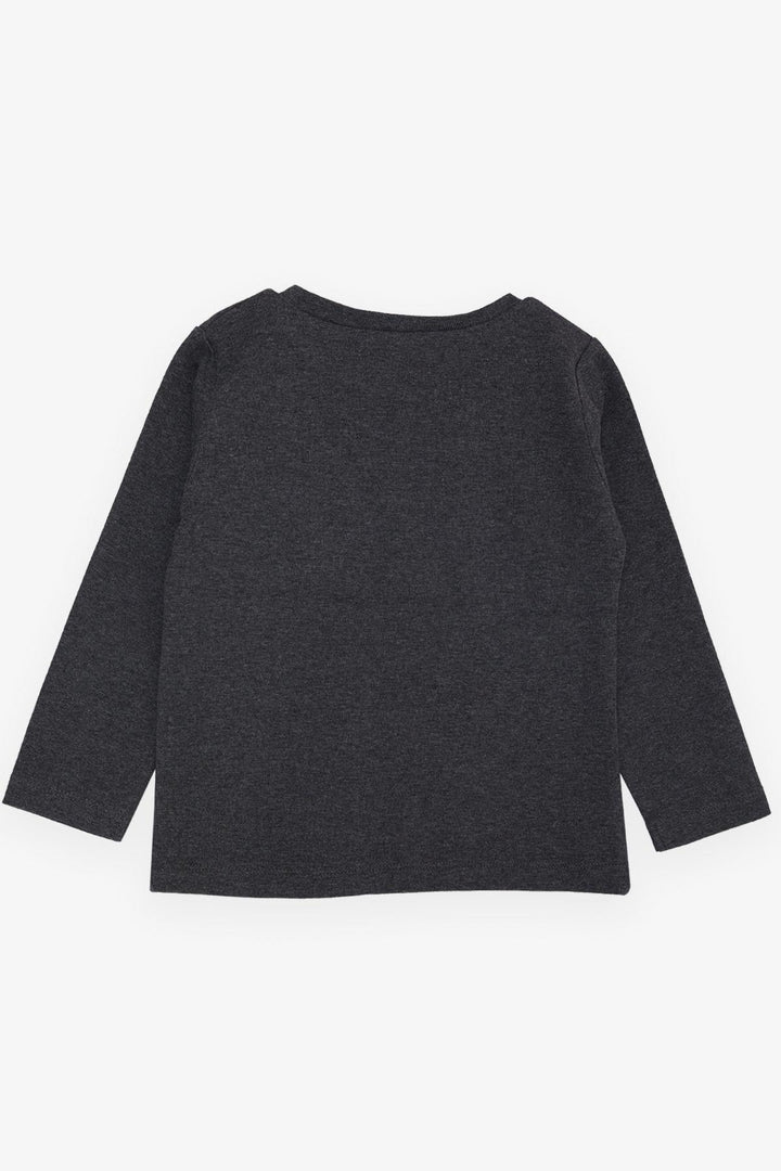 BRE Breeze Girls & Boys Boys Long Sleeve T-Shirt with Cool Lion Printed Hat, 1-4 Years, Dark Grey Melange - San Adrián de Besós