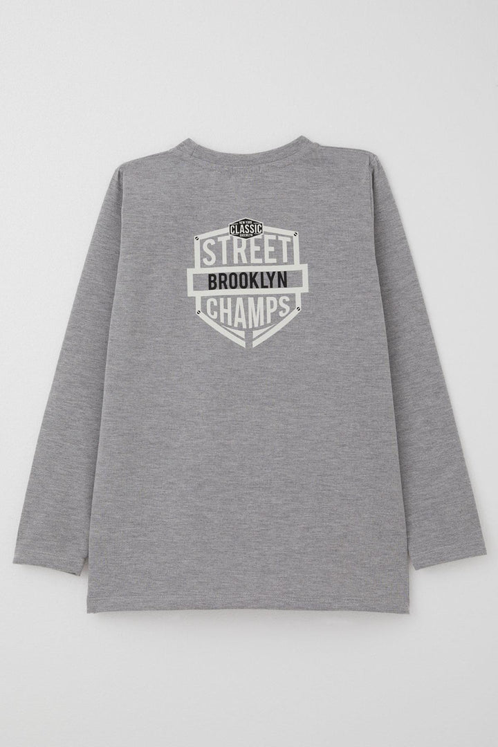 BRE Breeze Boys' Long Sleeve T-Shirt Street Champion Car Printed 4-8 Years, Grey Melange - Reus