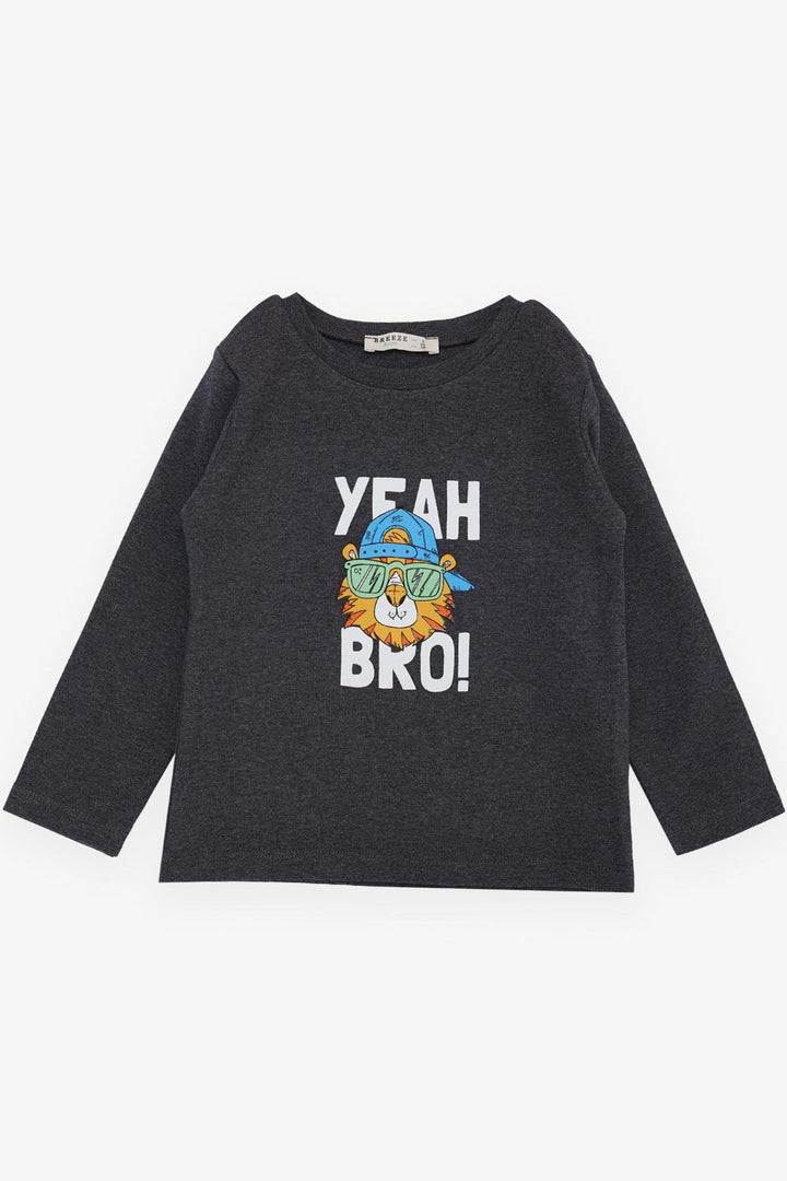 BRE Breeze Girls & Boys Boys Long Sleeve T-Shirt with Cool Lion Printed Hat, 1-4 Years, Dark Grey Melange - San Adrián de Besós