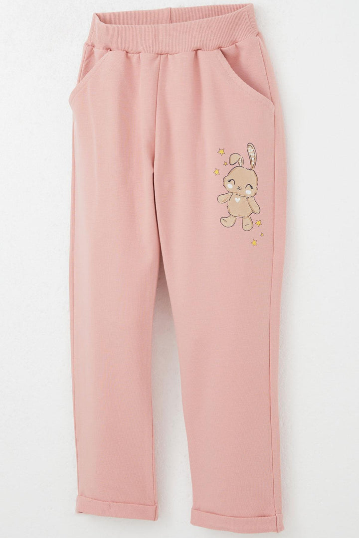 BRE Breeze Girl Baby Tracksuit Happy Friends Bunny Printed Floral 9 Months-3 Years, Pink - Stains