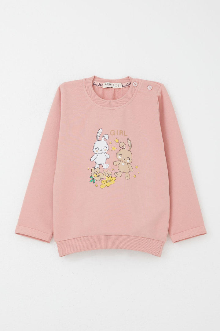 BRE Breeze Girl Baby Tracksuit Happy Friends Bunny Printed Floral 9 Months-3 Years, Pink - Stains