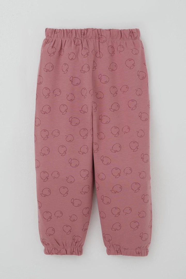 BRE Breeze Kız Bebek Pijama Takımı Elma Desenli 9 Ay-3 Yaş, Gülkurusu - Waterloo