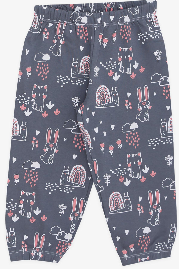 BRE Breeze Girl Baby Pajama Set Animal Pattern Nature Themed 9 Months-3 Years, Smoke Gray - Almelo