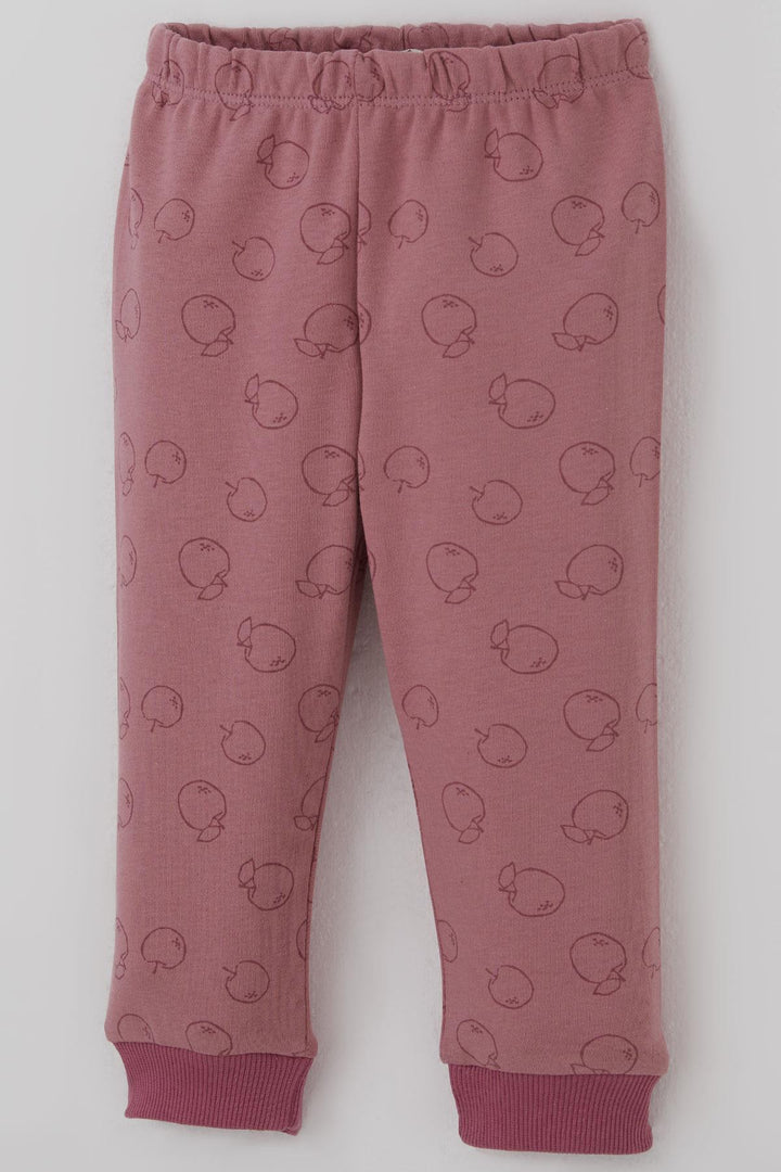 BRE Breeze Kız Bebek Pijama Takımı Önden Düğmeli Elma Desenli 4 Ay Yaş, Gülkurusu - Hofheim