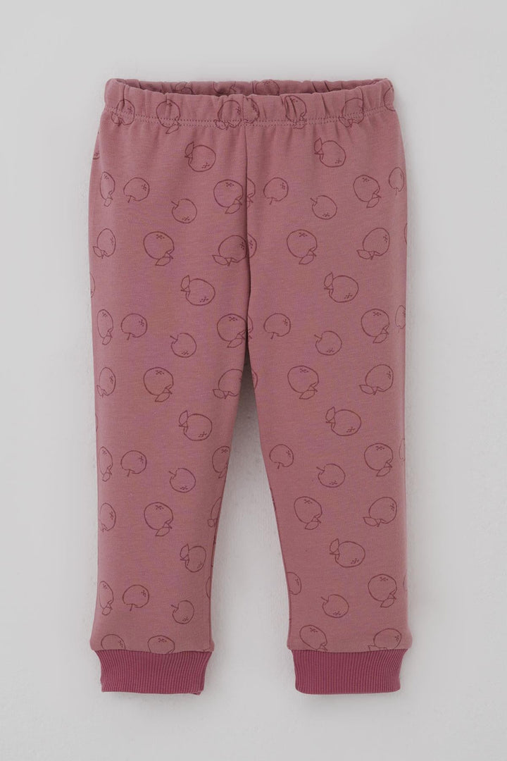 BRE Breeze Kız Bebek Pijama Takımı Önden Düğmeli Elma Desenli 4 Ay Yaş, Gülkurusu - Hofheim