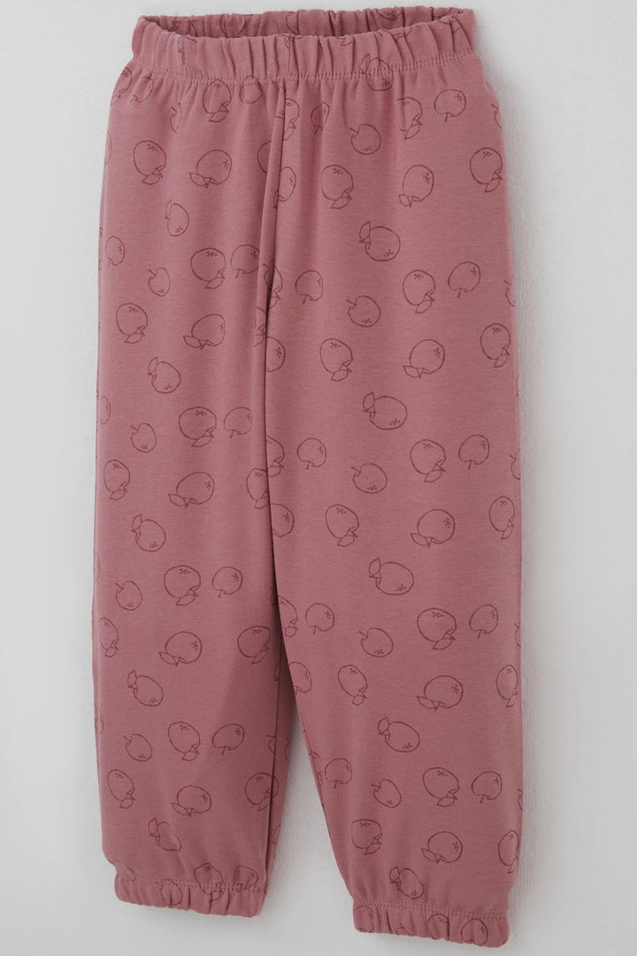 BRE Breeze Kız Bebek Pijama Takımı Tatlı Elmacık Rüyası 9 Ay-3 Yaş, Gülkurusu - Igualada
