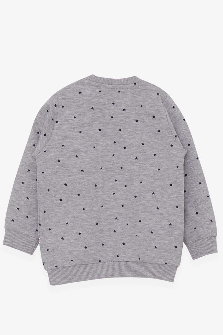 BRE Breeze Baby Girl Sweatshirt Happy Kittens 4 Months.5 Years, Gray Melange - Lincoln