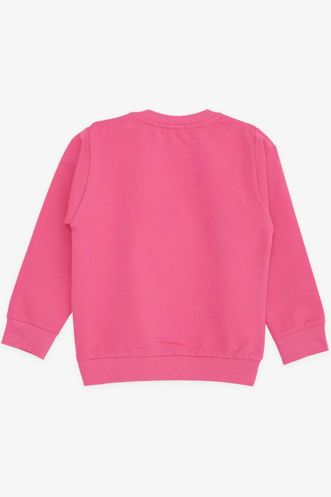 BRE Breeze Girl Baby Sweatshirt Glittery Flower Printed 9 Months-3 Years, Pink - Pflugerville