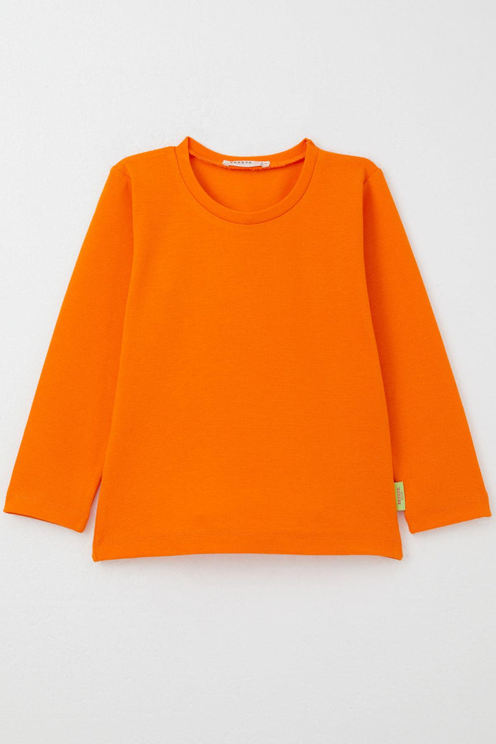 BRE Breeze Baby Girl Long Sleeve T-Shirt Basic 9 Months-3 Years, Orange - Deggendorf