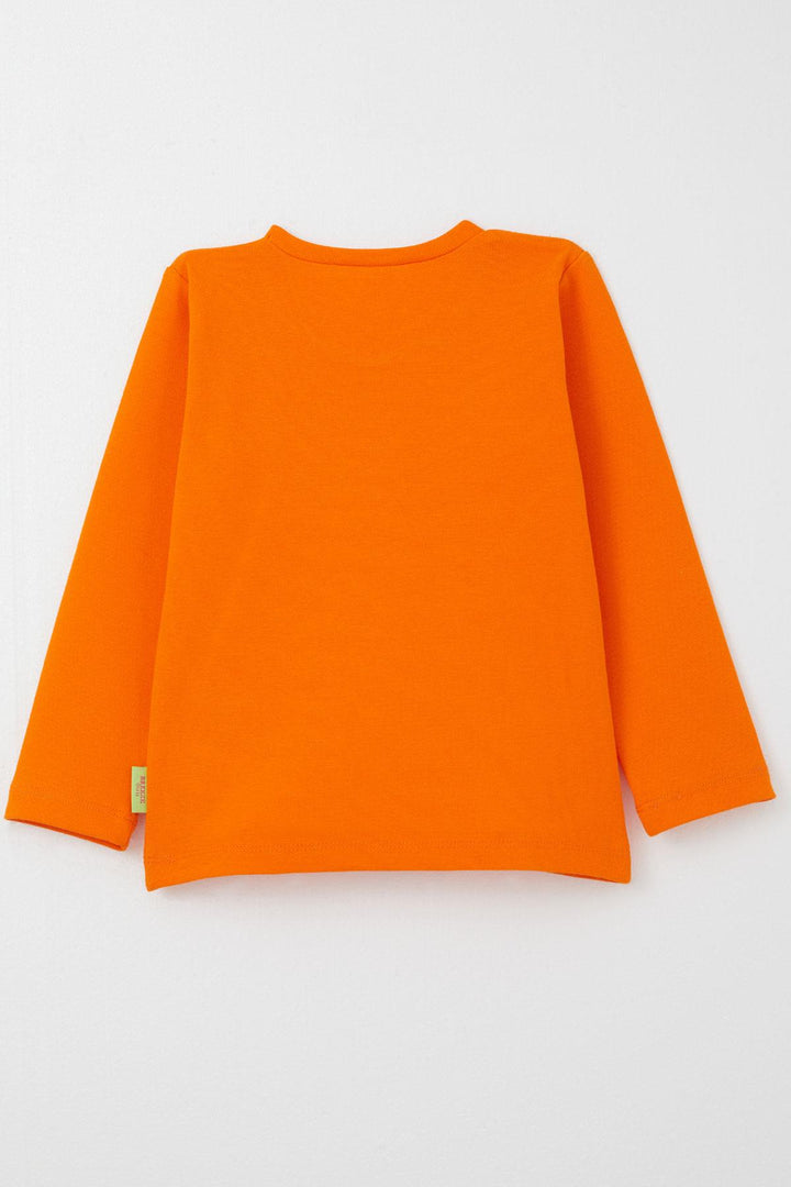 BRE Breeze Baby Girl Long Sleeve T-Shirt Basic 9 Months-3 Years, Orange - Deggendorf