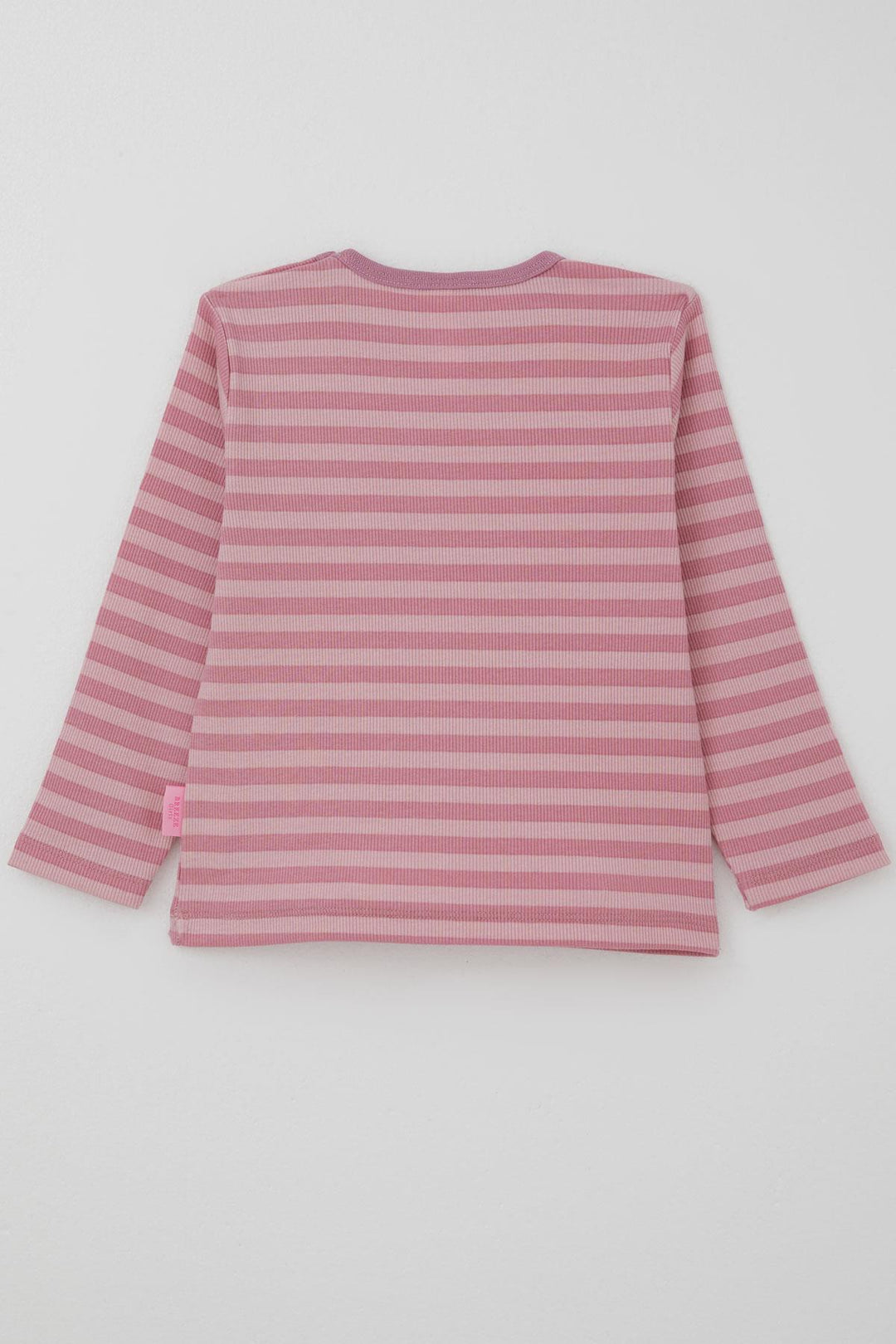 BRE Breeze Baby Girl Long Sleeve T-Shirt Striped 9 Months-3 Years, Pink - Harrisburg