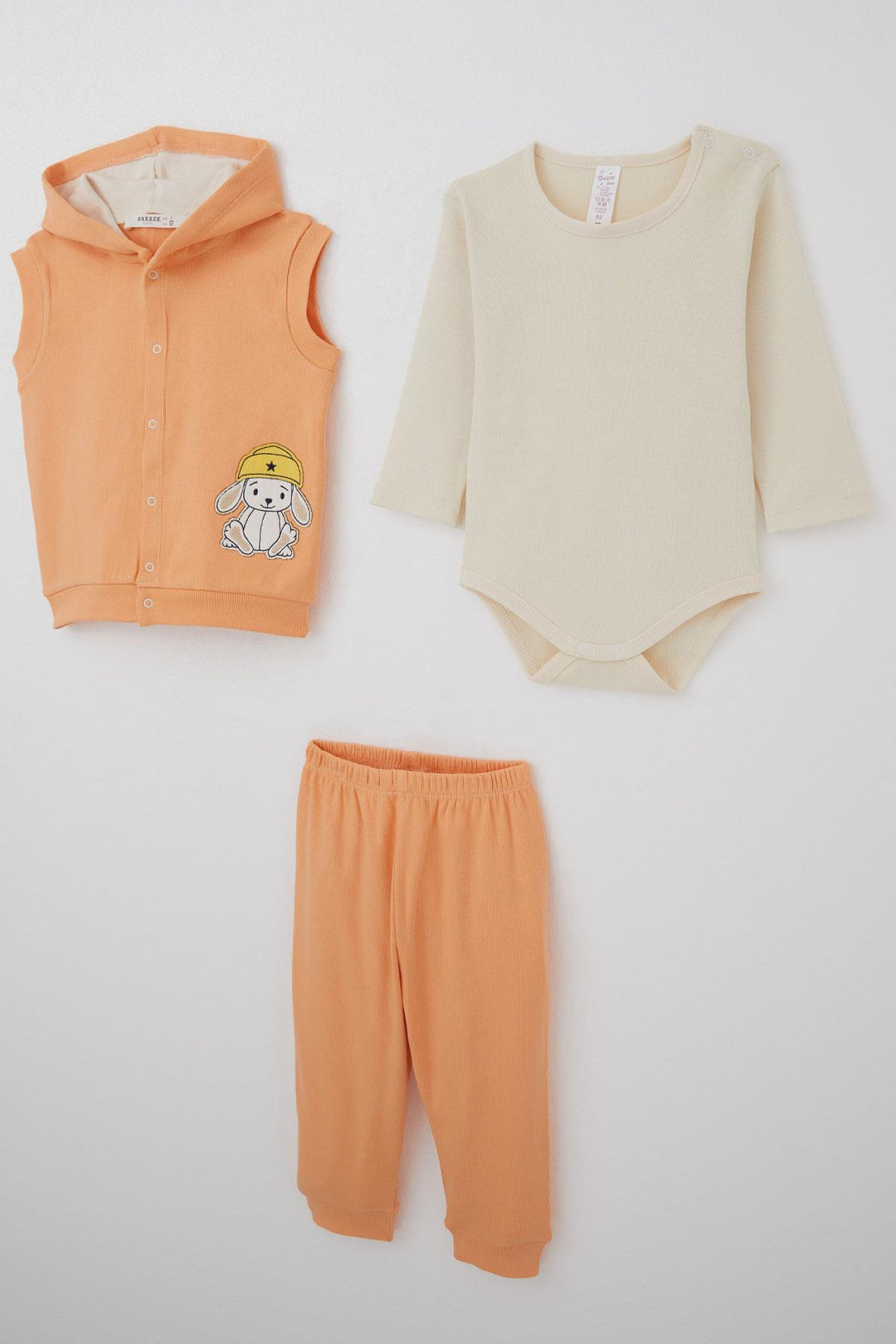 BRE Breeze Baby Girl Bodysuit 3-Piece Set with Cute Dog with Hat Embroidery, 4 Months Year, Salmon - Blue Springs