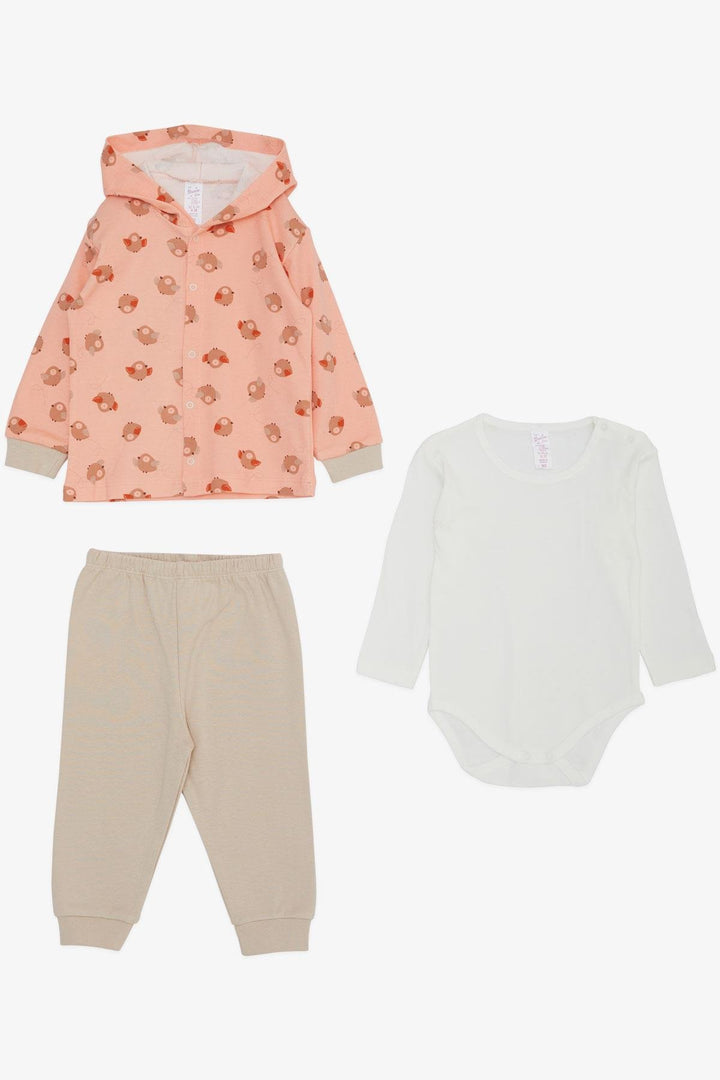 BRE Breeze Baby Girl Bodysuit 3-Piece Set لطيف الطيور منقوشة 4 أشهر سنة، سالمون - لوس أنجلوس