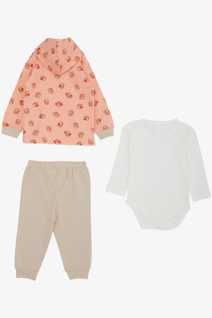 BRE Breeze Baby Girl Bodysuit 3-Piece Set لطيف الطيور منقوشة 4 أشهر سنة، سالمون - لوس أنجلوس