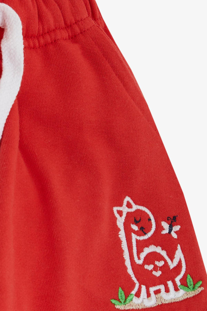 BRE Breeze Girl Child Bottom لطيف ديناصور وفراشة مطرزة مطبوعة 1-4 سنوات، رمان - Krasnyi Luch
