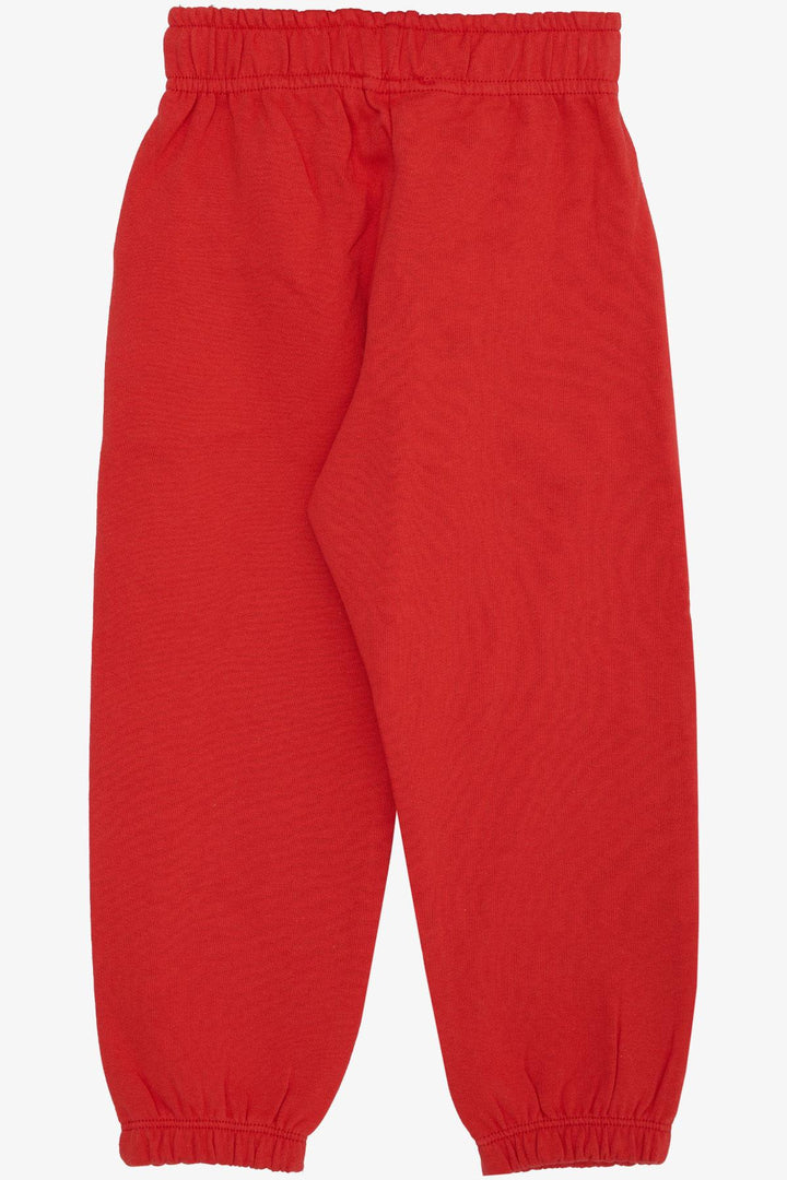 BRE Breeze Girl Child Bottom لطيف ديناصور وفراشة مطرزة مطبوعة 1-4 سنوات، رمان - Krasnyi Luch