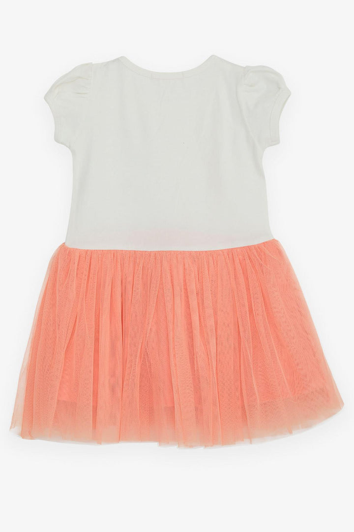 BRE Breeze Girl's Dress Unicorn Printed Tulle with Bow 3-8 Years, Beige - Coconut Creek