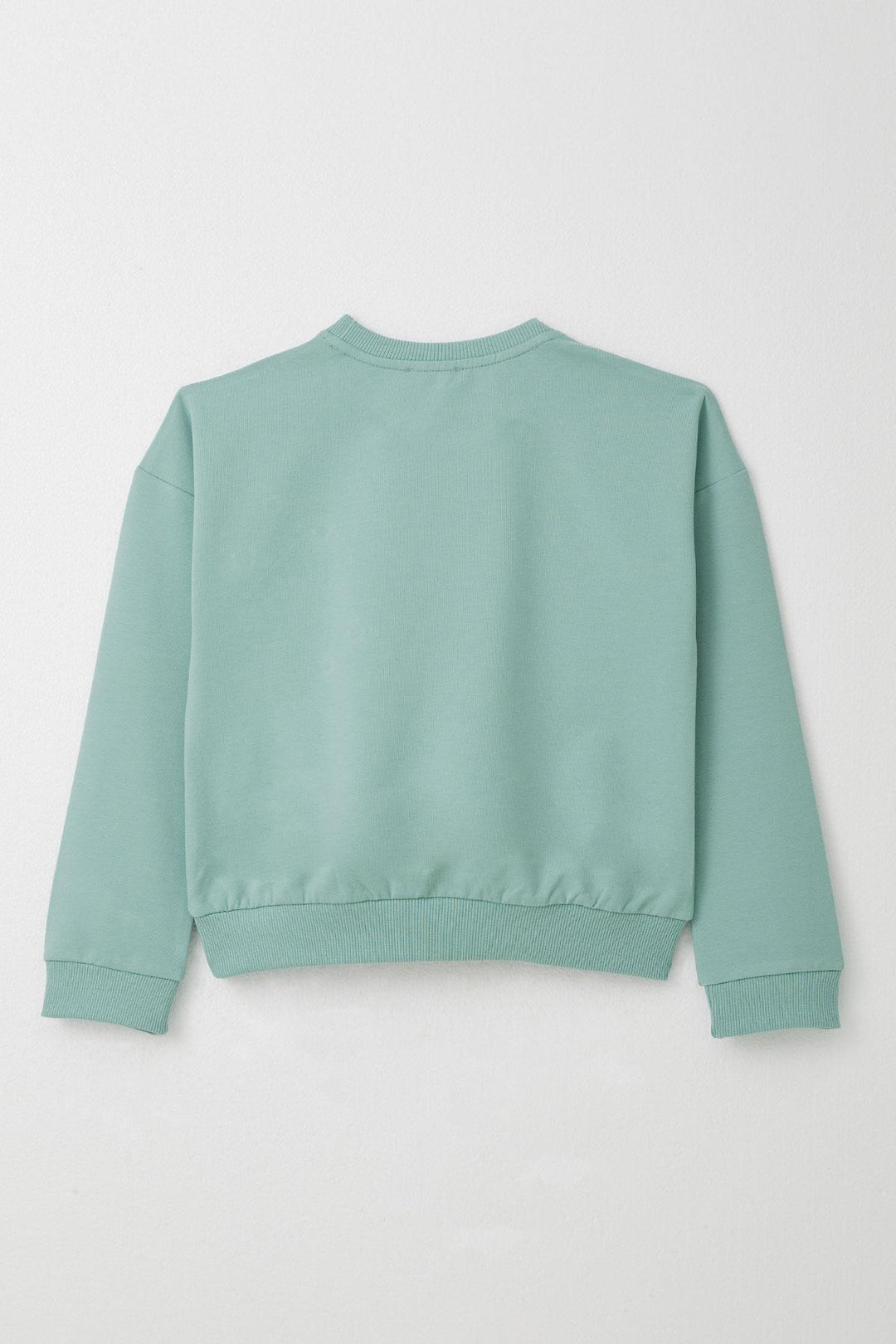 BRE Breeze Girl Child Tracksuit with Slogan Theme Fringed Flower Embroidered 4-9 Years, Aqua Green - Kearny