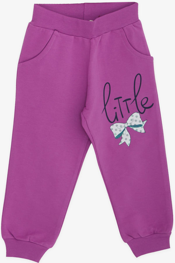 BRE Breeze Girl Child Tracksuit Bear Embroidered 1-4 Years, Light Grey Melange - Fort Worth